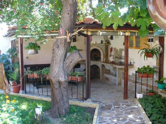 צ'רנומורץ Guest House Alex מראה חיצוני תמונה